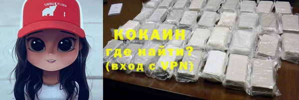 шишки Бородино