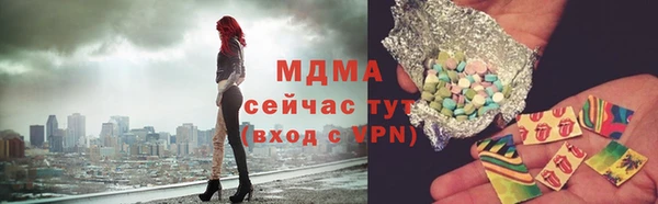 шишки Бородино