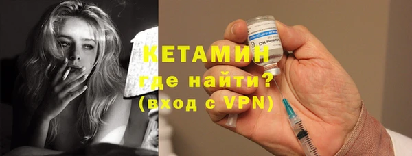 шишки Бородино
