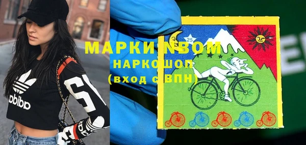 шишки Бородино