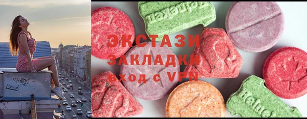 шишки Бородино