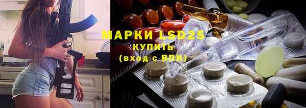 шишки Бородино