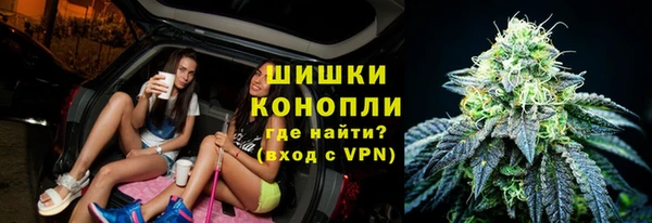 шишки Бородино