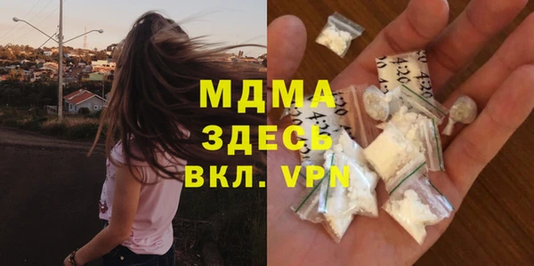 шишки Бородино
