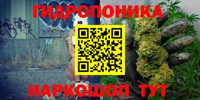 гидра Бийск