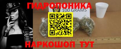 гидра Бийск