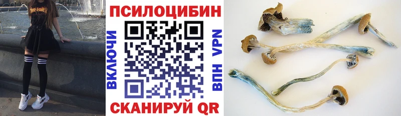 Галлюциногенные грибы ЛСД  площадка клад  Выборг 