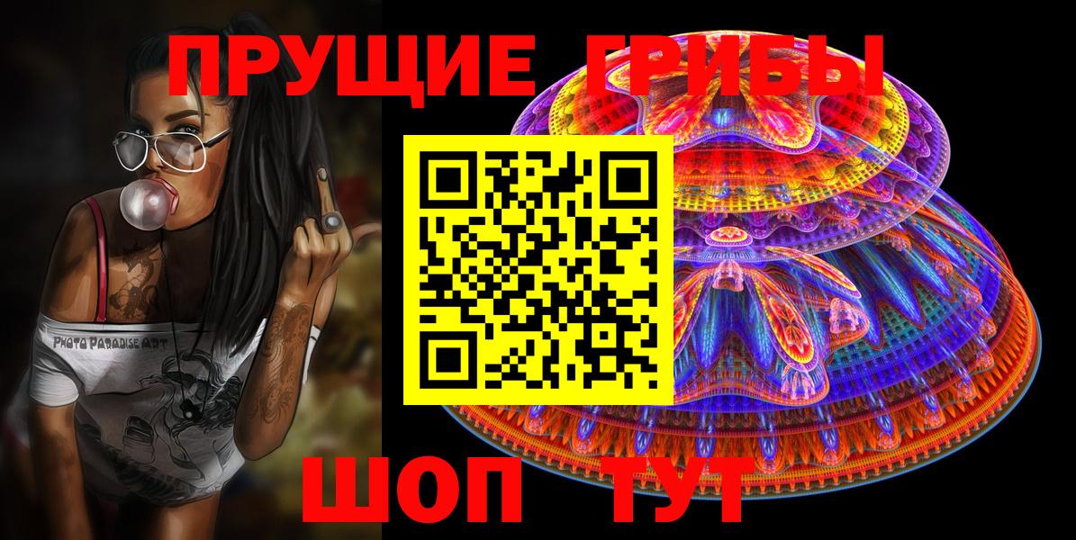 Галлюциногенные грибы Psilocybe  Вход с VPN  Выборг 